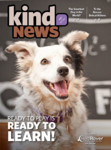KN_SR_NovDec21_cover-web