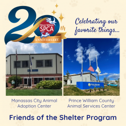 20th Shelters
